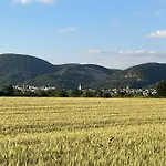 Moebliertes Expat-apartment In Der Naehe Von Heidelberg * 多森海姆