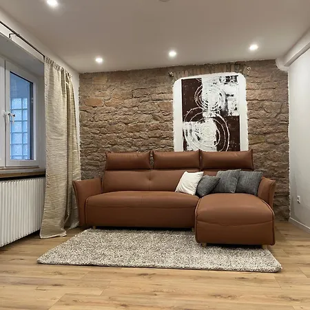 Moebliertes Apartment Fuer Expats Und Studenten In Der Naehe Von Heidelberg 公寓