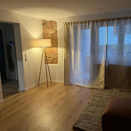 Moebliertes Apartment Fuer Expats Und Studenten In Der Naehe Von Heidelberg 多森海姆