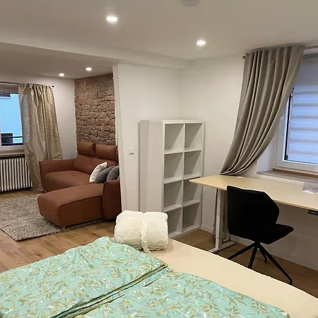 Moebliertes Apartment Fuer Expats Und Studenten In Der Naehe Von Heidelberg * 多森海姆