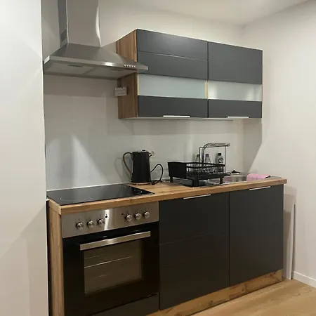 公寓 Moebliertes Apartment Fuer Expats Und Studenten In Der Naehe Von Heidelberg 多森海姆