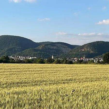 Moebliertes Apartment Fuer Expats Und Studenten In Der Naehe Von Heidelberg * 多森海姆