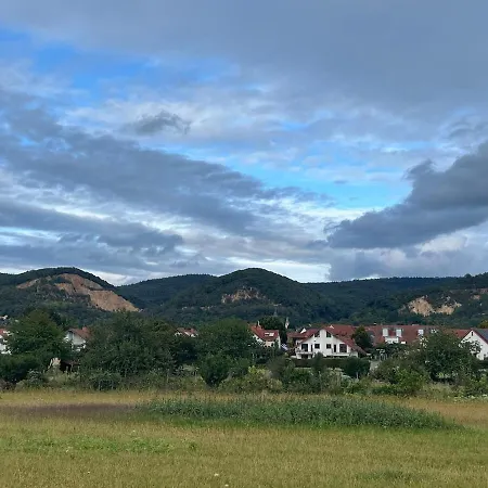 公寓 Moebliertes Apartment Fuer Expats Und Studenten In Der Naehe Von Heidelberg 多森海姆