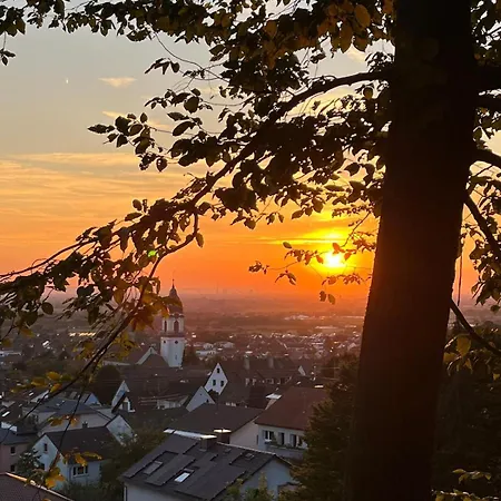 公寓 Moebliertes Apartment Fuer Expats Und Studenten In Der Naehe Von Heidelberg *